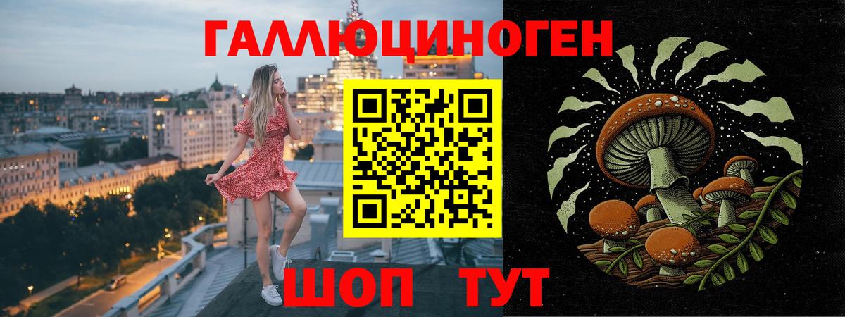 как найти закладки  Вход с VPN  Анапа  Галлюциногенные грибы GOLDEN TEACHER 